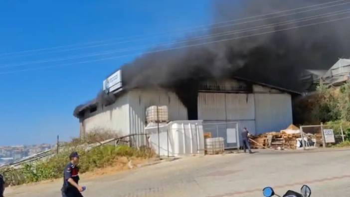 Alanya'da Korkutan Yangın! Serada Başlayan Alevler Kimyasal Deposuna Sıçradı