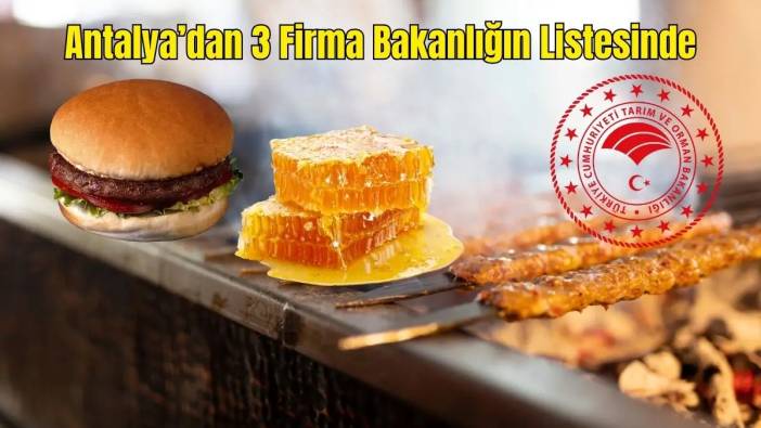 Antalya'dan İfşa: Hamburgerde Kanatlı, Adana'da Sakatat, Balda Tağşiş
