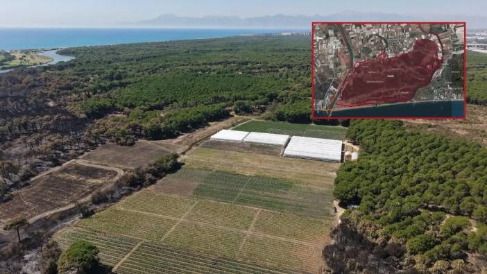 Kumköy'de 400 Dönüm Yandı! Otel İddiası Yine Gündemde