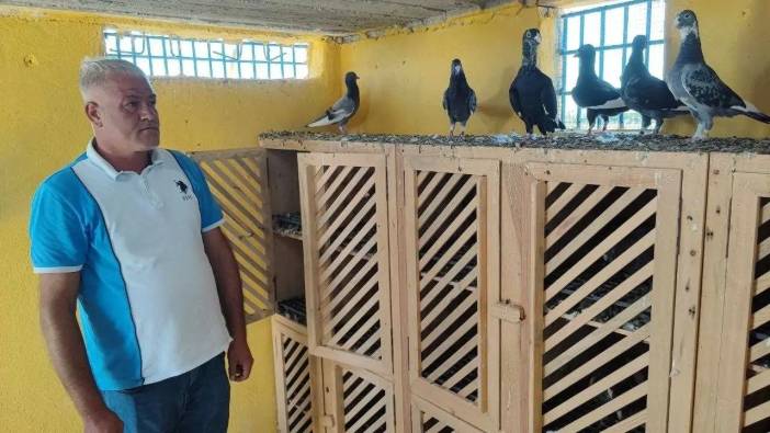 Adana’da O İki Güvercini Bulana 100 Bin TL Ödül Verilecek!