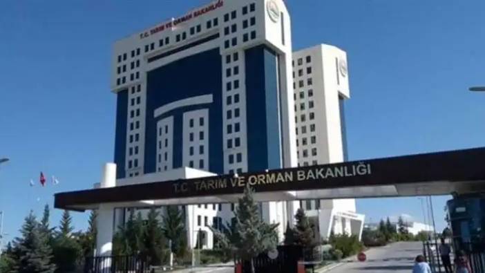 Tarım ve Orman Bakanlığı 240 Personel Alacak! İşte Şartlar
