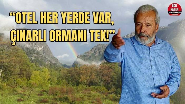 Doğa Harikası Olimpos’ta Binlerce Ağaç Kıyım Tehlikesi Altında!