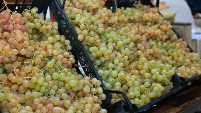 Kaş’ın Margaz Üzümü Hayat Buluyor: Likya’dan Tescile Uzanan Tat