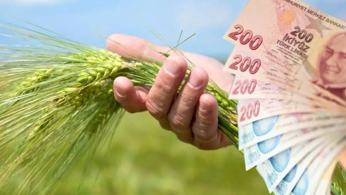 Antalya’daki Çiftçiler Dikkat! Tarımsal Destek Ödemeleri Başladı