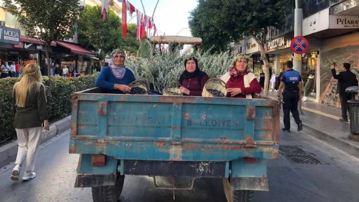 Zeytin Cenneti Manavgat’ta Sıkım Ücretleri Açıklandı!