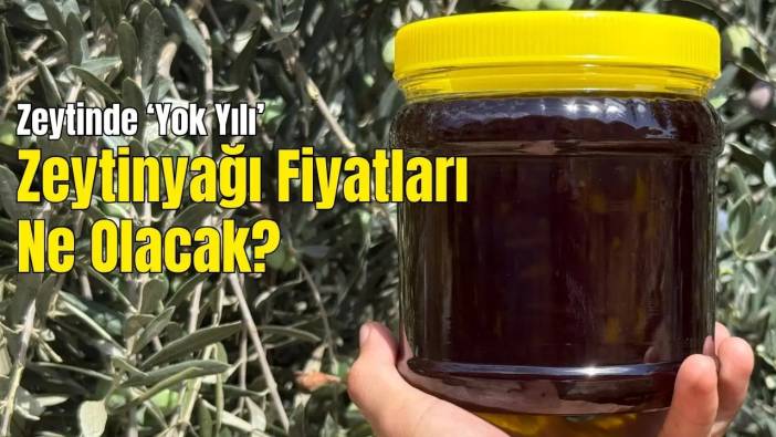 Zeytinde Yok Yılı: Alanya’da Zeytin Rekoltesi Yüzde 40 Düştü! Zeytinyağı Fiyatları Ne Olacak?