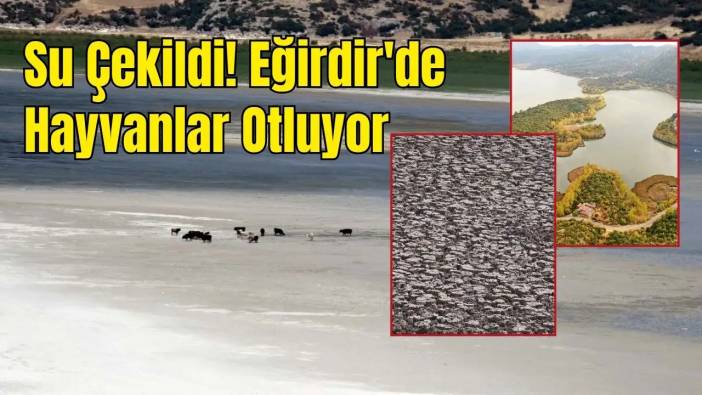Eğirdir Gölü İkiye Ayrıldı! Doğal Cennet Can Çekişiyor