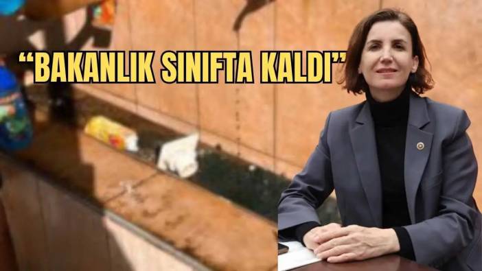 CHP’li Coşar Okullardaki Servis ve Temizlik Krizini Meclis’e Taşıdı!
