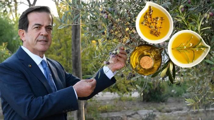 Antalya'da Zeytin Hasadı: Rekolte Yüzde 30 Düştü, 2025 Zeytinyağı Fiyatı Ne Olacak?