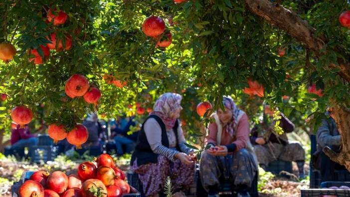 Bakan Yumaklı'dan Antalya Paylaşımı! Döşemealtı Narı Sahnede