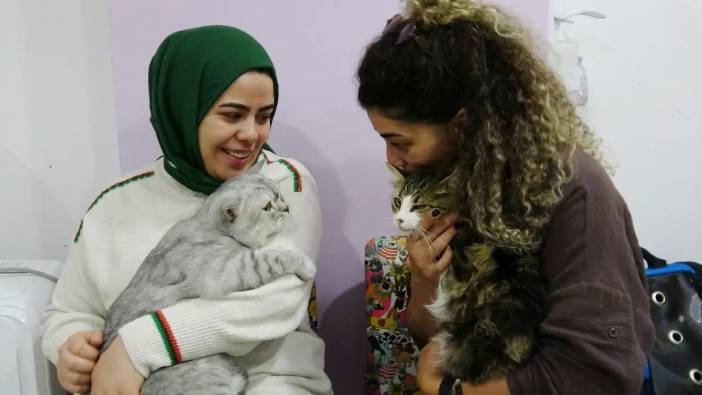 Isparta’da Kedi Nazlı Kan Nakliyle Hayata Döndü!