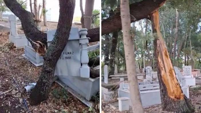 Serik’te Rüzgar Mezarlığı Vurdu! Devrilen Ağaçlar Kabir Taşlarını Kırdı
