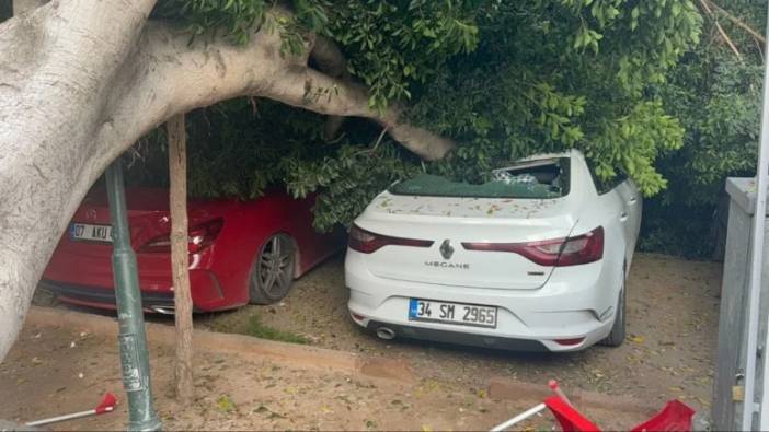 Saniyelerle Kurtuldular! Antalya'da 30 Yıllık Ağaç 5 Aracı Altında Bıraktı