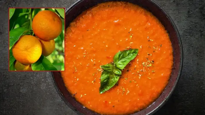 Kemer’in Turunçlu Lezzeti Tescilleniyor: Maş Fasulyesi Çorbası Başvurusu Yapıldı