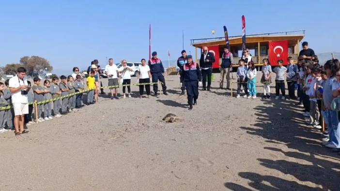 Antalya’da Yaralı Caretta “Zühal” Yeniden Denizle Buluştu