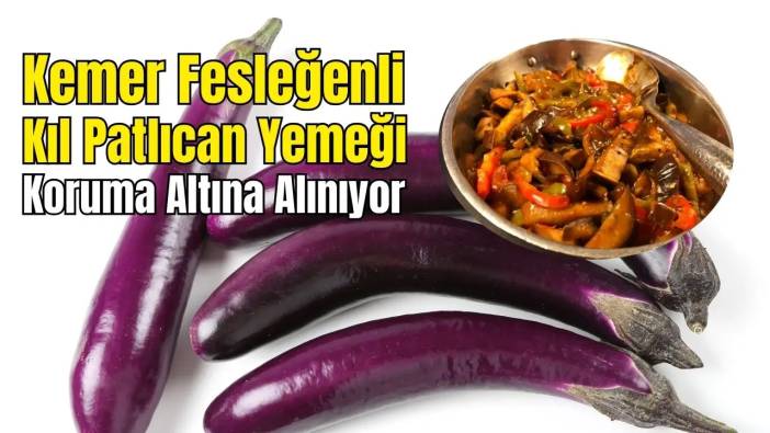 Kemer Fesleğenli Kıl Patlıcan Yemeği İçin Coğrafi İşaret Başvurusu