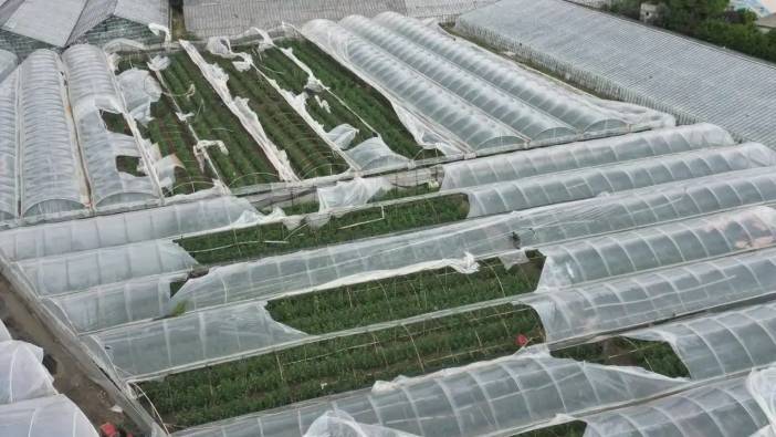 Demre’de Hortum Seraları Yıktı! Tarım Alanları Zarar Gördü