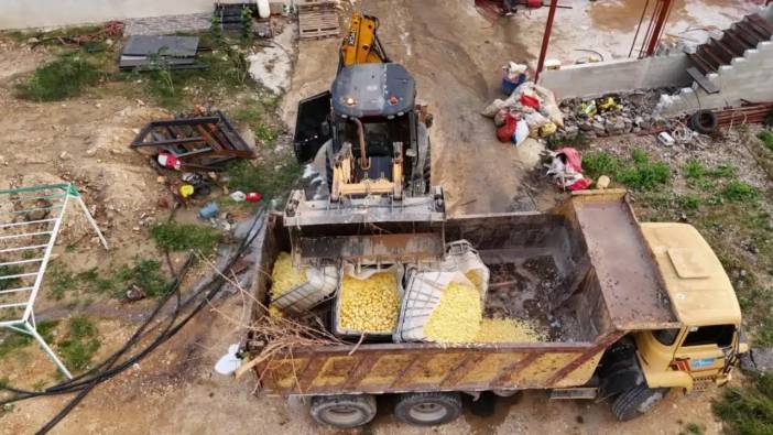 Antalya’da Gıda Skandalı! Sağlıksız Tonlarca Patates İmha Edildi