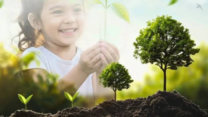 Antalya ve İlçelerinde Hangi Alanda Fidan Dikiliyor? 11 Kasım Milli Ağaçlandırma Günü Programı Tam Listesi