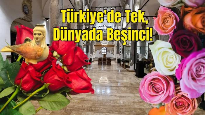 Misparta Koku Medeniyeti Müzesi'nde 4500 Yıllık Parfüm Formülü Sergileniyor