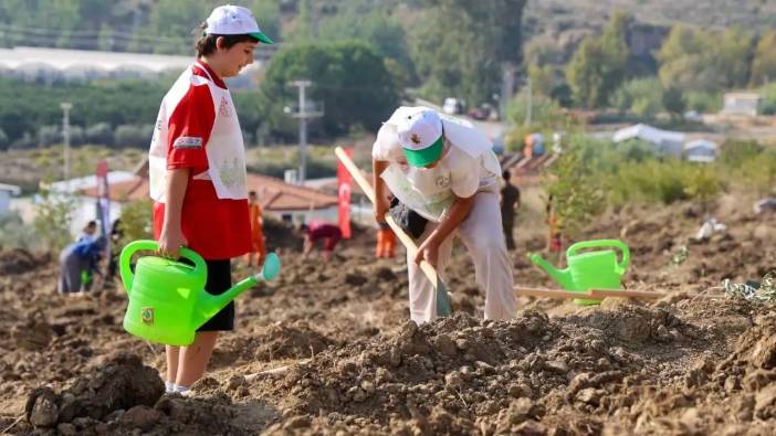 Manavgat’ta Kaybedilen Ormanlar İçin Seferberlik Sürüyor