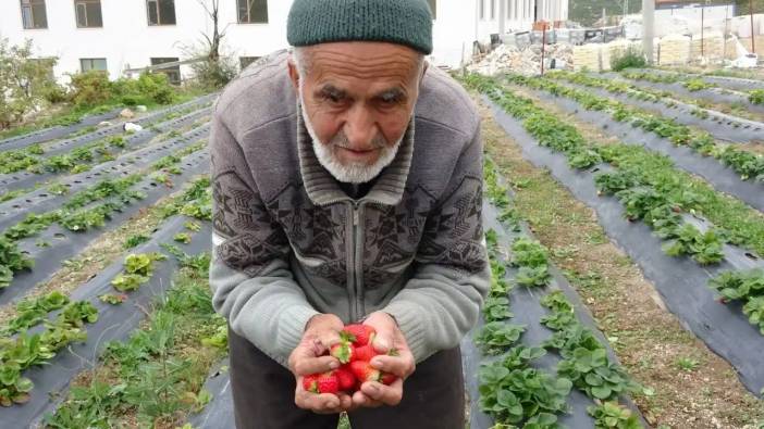 Isparta'nın Hayırsever Dedesi: 85 Yaşındaki İbrahim Dede’den Yürek Isıtan Davranış!
