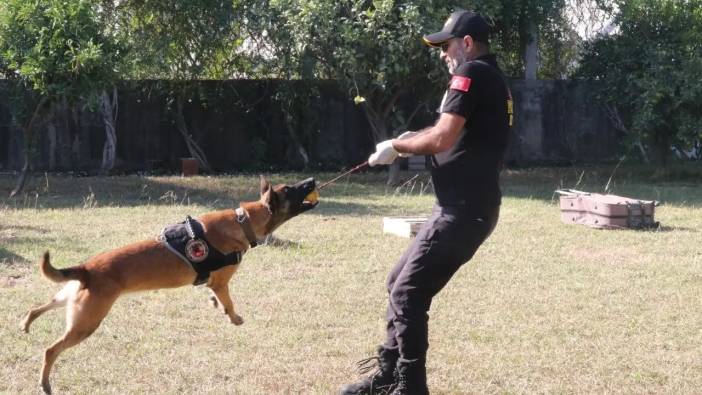 Antalya’da Narkotik Eğitimi: Köpekler Madde Değil Oyuncağını Arıyor