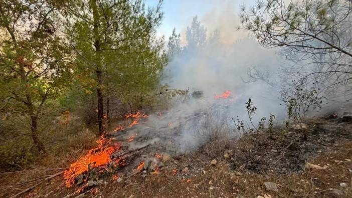 Mersin Bozyazı’da Orman Yangını Korkuttu! Ekiplerden Hızlı Müdahale