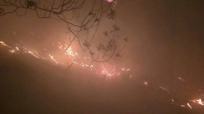 Hatay’da 16 Saat Süren Orman Yangını Kontrol Altında!