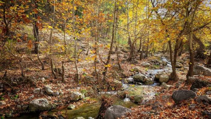 Adana’da Sonbahar Büyüsü: Kartpostalları Aratmayan Görüntüler!