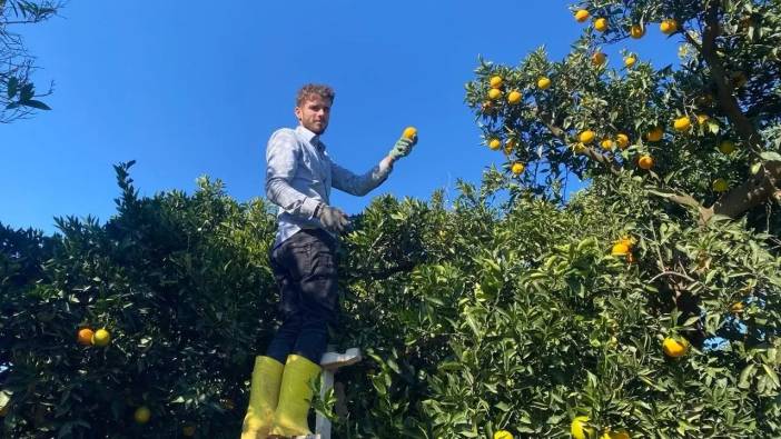 Tescilli Finike Portakalında Yüzler Güldü: Dalında 30 TL'yi Gördü!