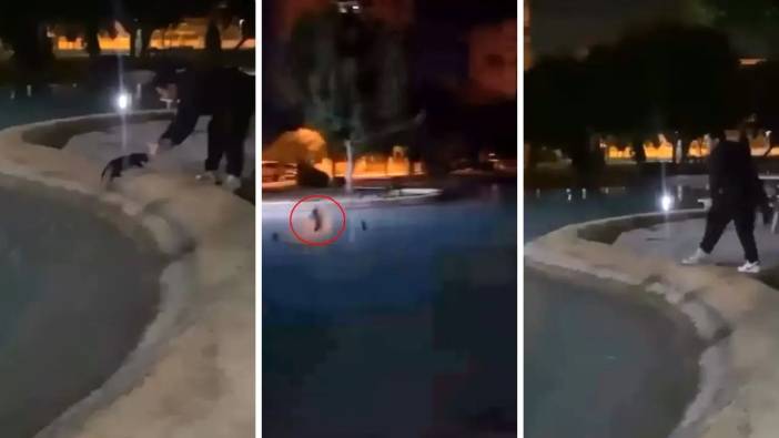 Antalya’da Sokak Kedisine Eziyet: Defalarca Kez Havuza Attılar