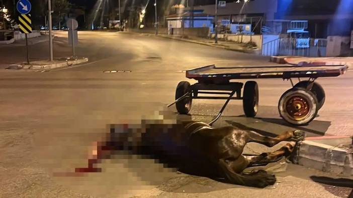 Adana’da Başıboş Atın Araçla Çarpıştığı Görüntüler Ortaya Çıktı!