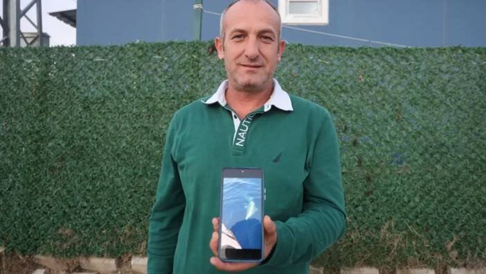 Hatay’da Köpek Balığı Paniği: Botu Batırabilir Diye Korktular!