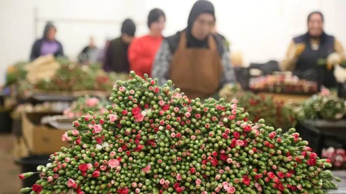 Antalya’nın Çiçekleri Avrupa’yı Renklendirecek: Beklenti 12 Milyon Dolar!