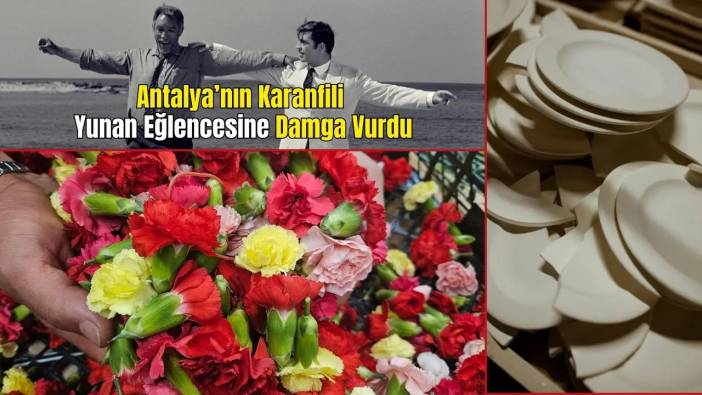 Antalya'nın Karanfili Sirtakide Tabak Kırmanın Yerini Aldı! Yılbaşında 3 Milyon Dolarlık İhracat