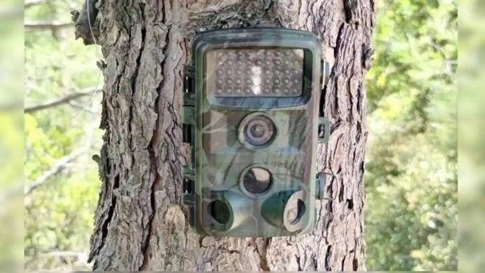 Antalya’da Yürek Isıtan Görüntü! Bakın Fotokapan Ne Yakaladı?