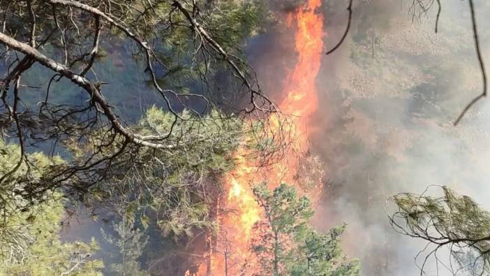 Hatay Belen’de Orman Yangını Paniği! Ekipler Seferber Oldu