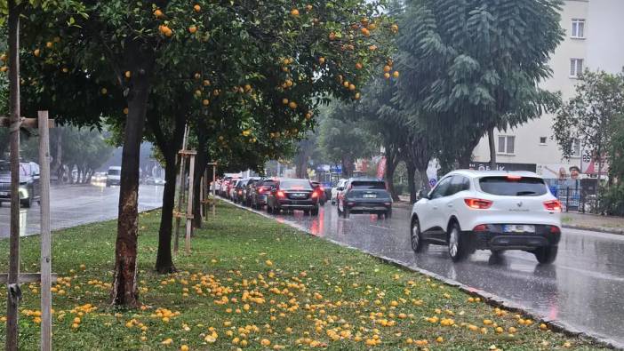 Antalya’da Fırtına Yağmur Turunçları Yollara Döktü