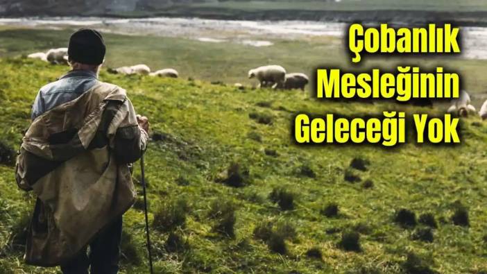 Antalya'da Üretici ‘Yayla Kalmadı’ Diye Feryat Ediyor