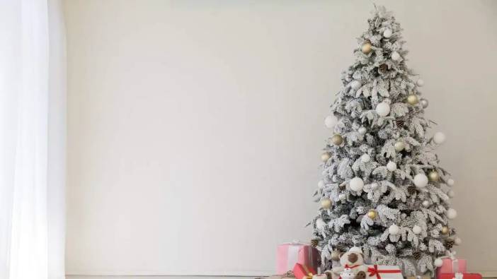 Antalya'da Yılbaşı Ağaçlarının Fiyatları Uçtu! Maliyeti 20 Bin TL’yi Geçiyor