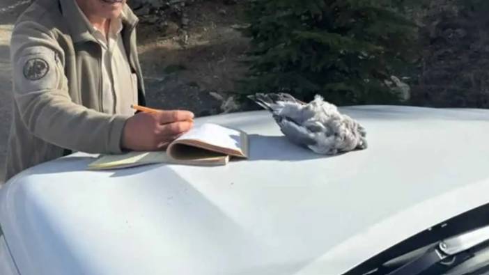 Burdur’da Yaban Hayatına Büyük Darbe! Kaçak Avcılara Suçüstü