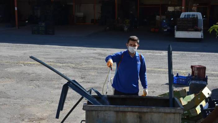 Antalya'da Karasineğe Karşı Acil Önlem