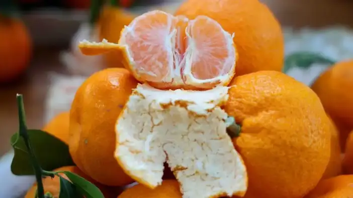 Adana’da Mandalina Fiyatları Dip Yaptı: Hasat Var, Alıcı Yok!