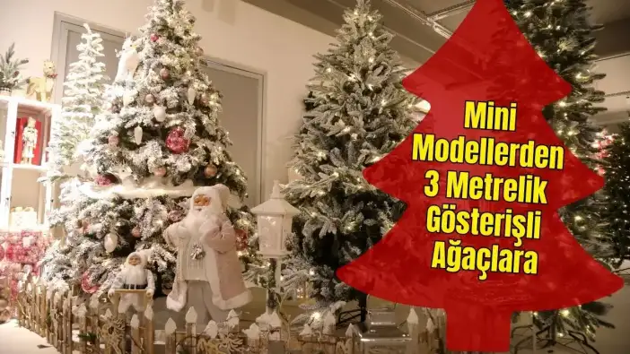 Antalya’da Yılbaşı Ağacı Fiyatları 70 Bin TL'ye Kadar Çıkıyor