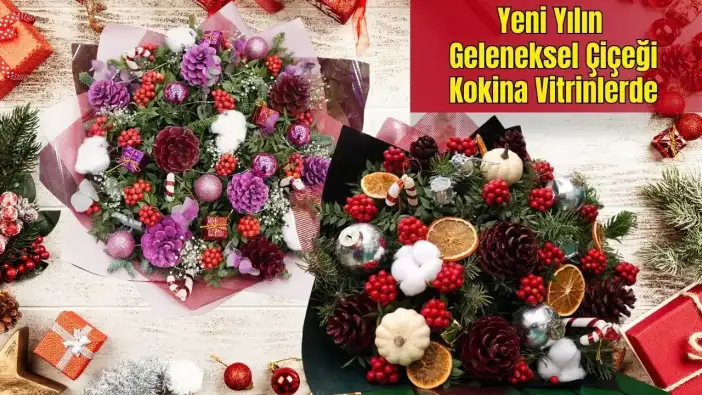 Antalya’da Yılbaşı Çiçeği Kokina 500 Liradan Başlıyor