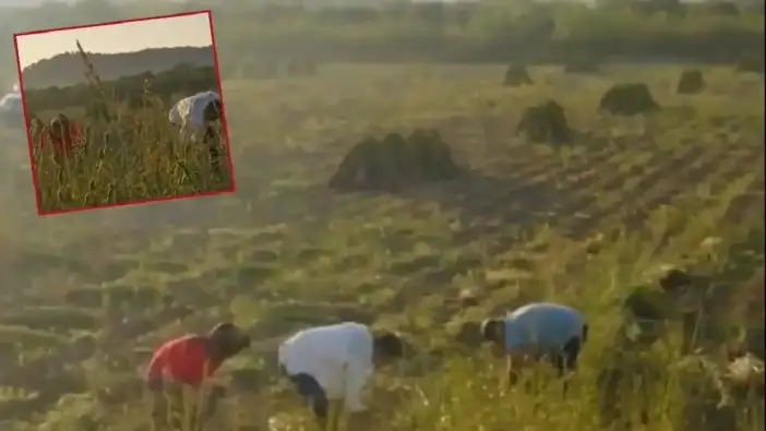 Manavgat TRT Belgesel Ekranlarında!