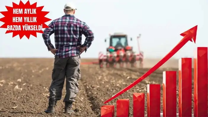 Çiftçi Enflasyonu Durulmuyor: Maliyet Baskısında Artış Sürüyor!