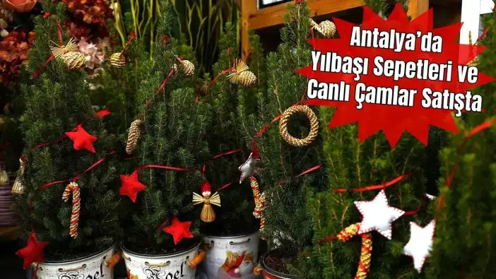 Antalya’da Yılbaşı Sepetleri 3 Bin TL’den Başlıyor! Canlı Çam Ağaçları da Revaçta