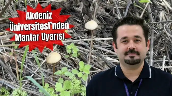 Akademisyen Uyardı: Her 3 Mantardan 1’i Zehirli! 100 Tür Hastanelik Ediyor